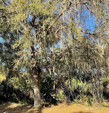 0.46 Acres of Residential Land for Sale in Osteen, Florida