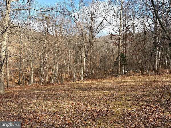 8.67 Acres of Residential Land for Sale in Old Fields, West Virginia