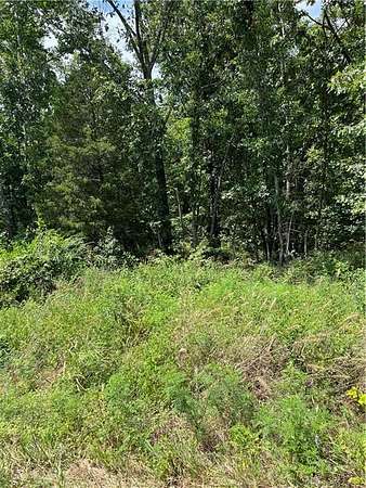 0.31 Acres of Residential Land for Sale in Bella Vista, Arkansas