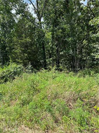 0.31 Acres of Residential Land for Sale in Bella Vista, Arkansas