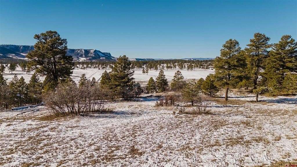 0.46 Acres of Residential Land for Sale in Pagosa Springs, Colorado