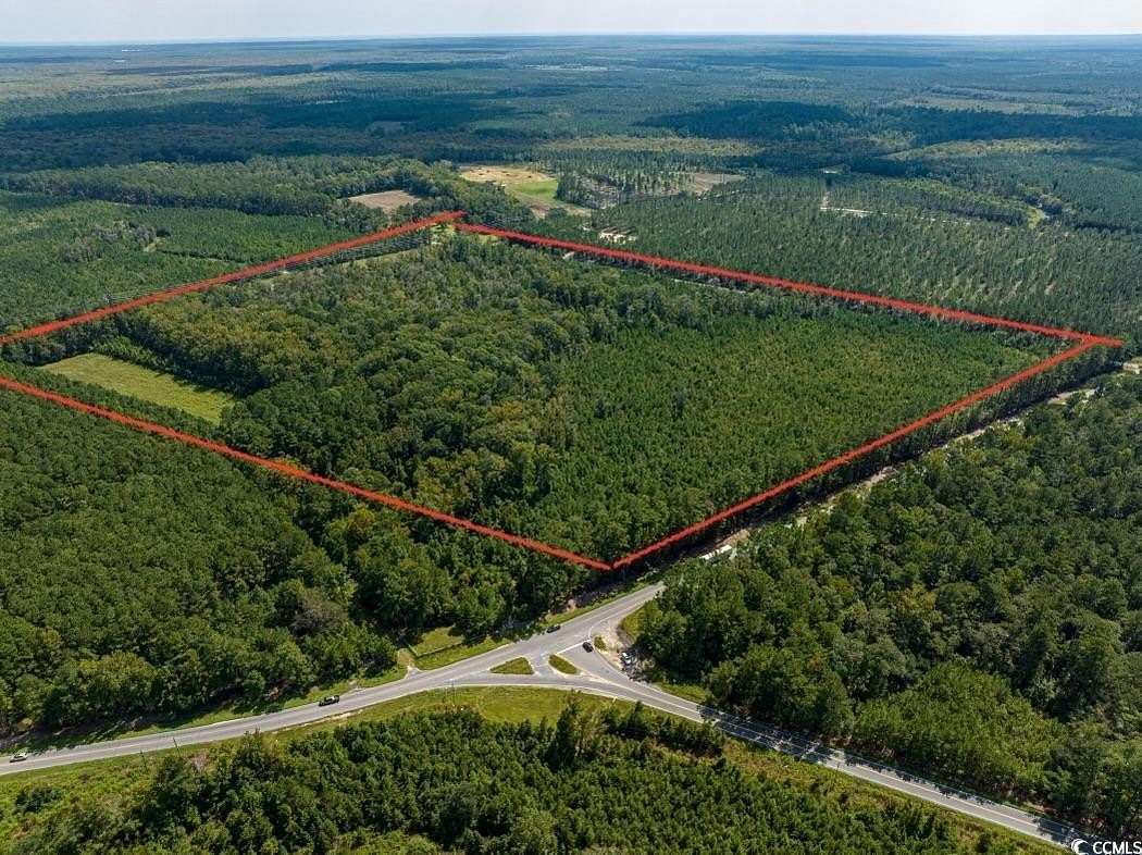 58 Acres of Land for Sale in Georgetown, South Carolina