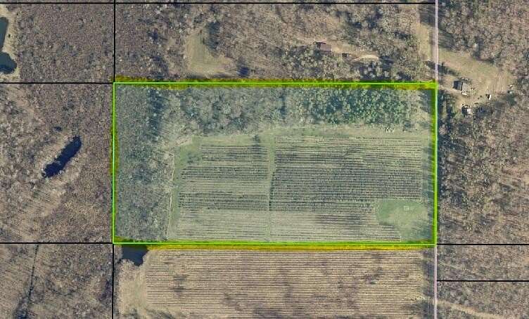 20 Acres of Land for Sale in Grand Junction, Michigan
