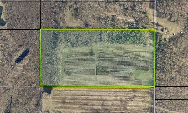 20 Acres of Land for Sale in Grand Junction, Michigan