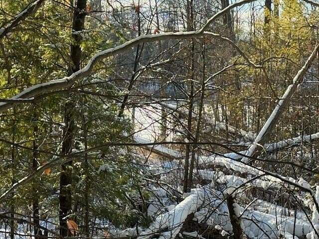 23.5 Acres of Recreational & Residential Land for Sale in Stanton, Michigan