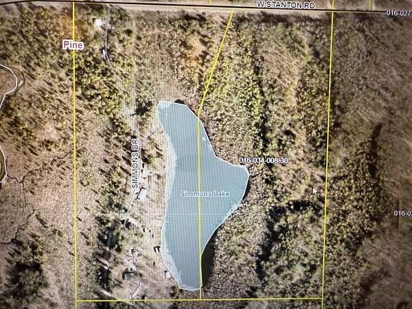 23.5 Acres of Land for Sale in Stanton, Michigan