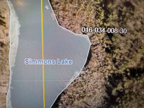 23.5 Acres of Land for Sale in Stanton, Michigan