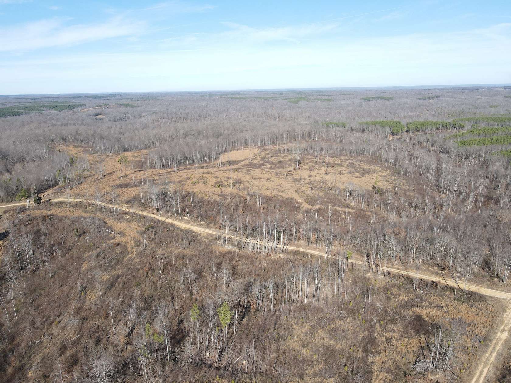 67 Acres of Recreational Land for Sale in Stewart, Tennessee