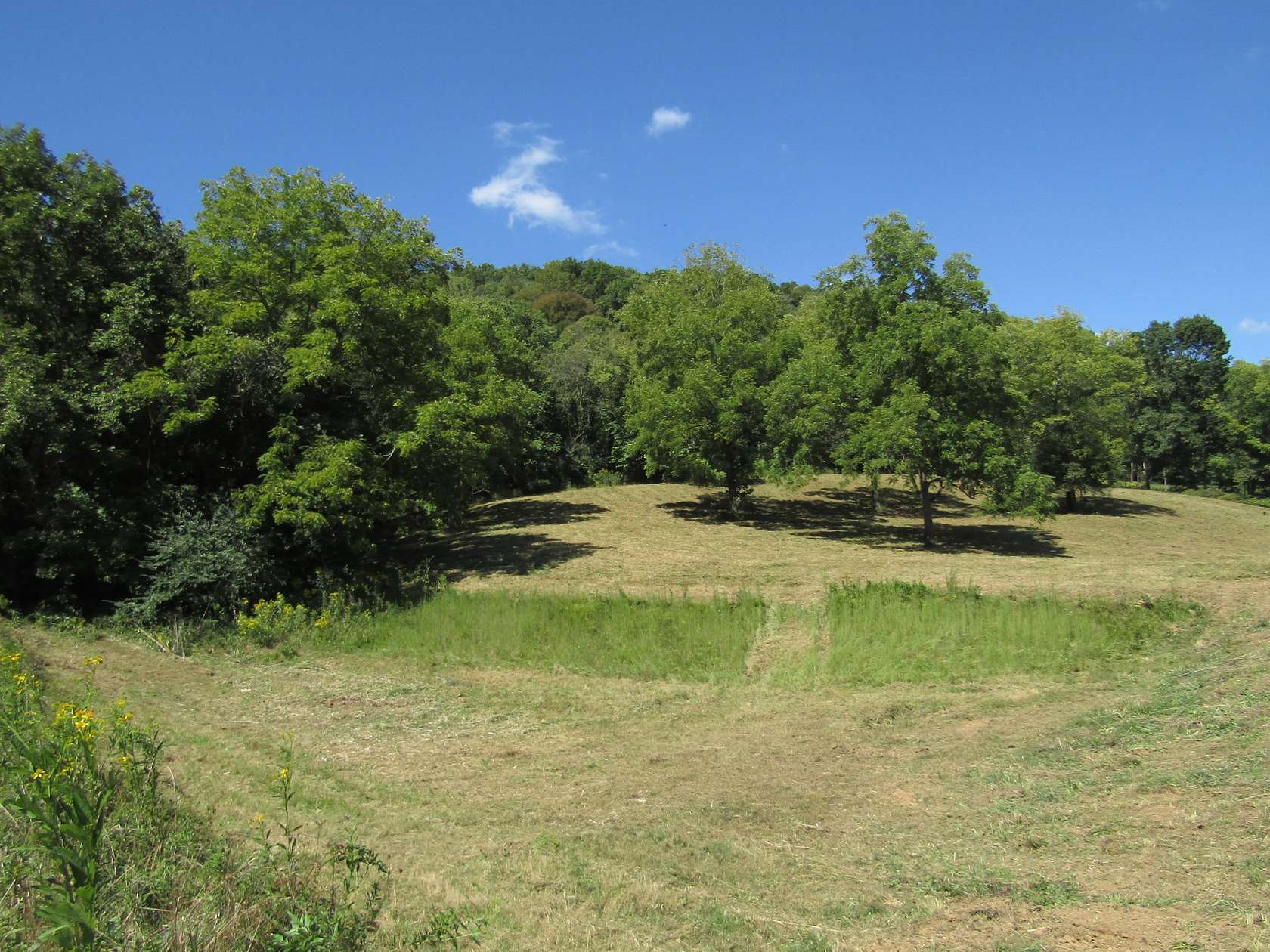 14 Acres of Land for Sale in Lafayette, Tennessee
