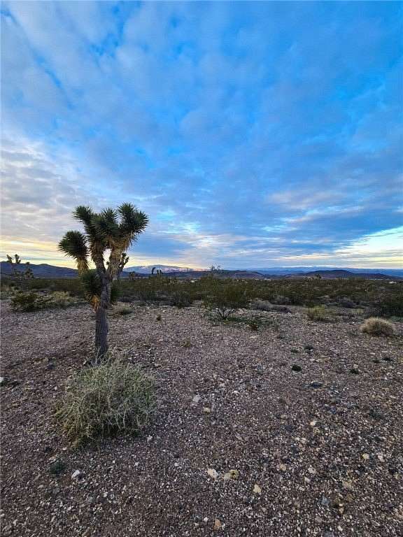 1 Acre of Residential Land for Sale in White Hills, Arizona