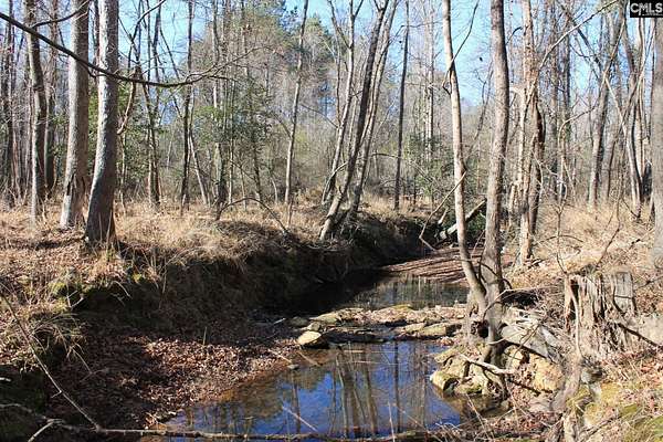 16.9 Acres of Land for Sale in Leesville, South Carolina