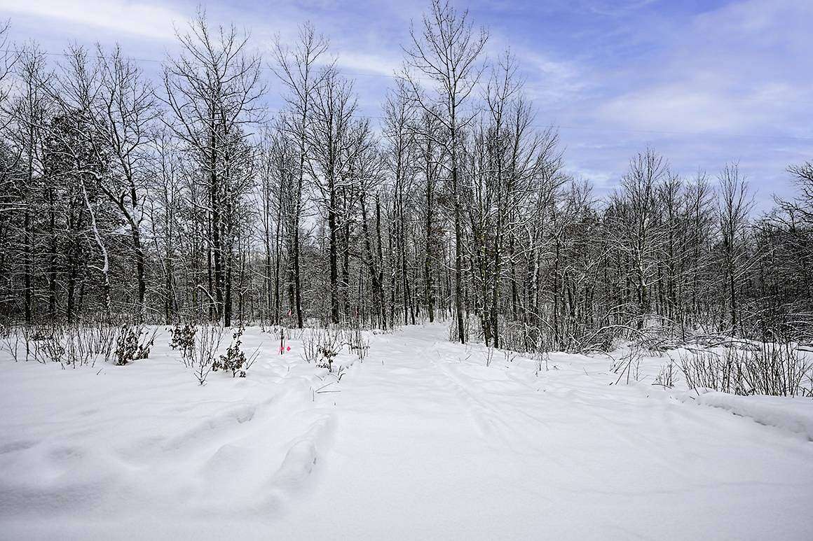 2 Acres of Land for Sale in Trego, Wisconsin