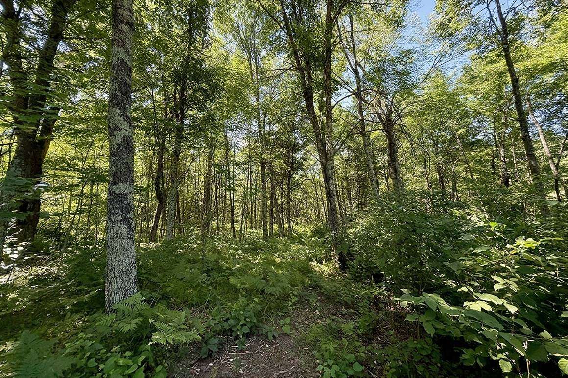 2 Acres of Residential Land for Sale in Trego, Wisconsin