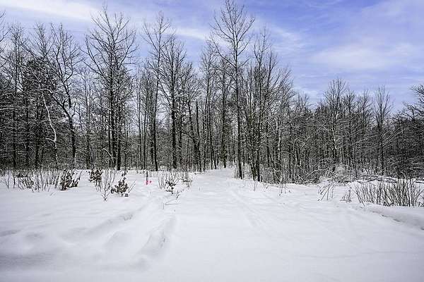 2 Acres of Land for Sale in Trego, Wisconsin