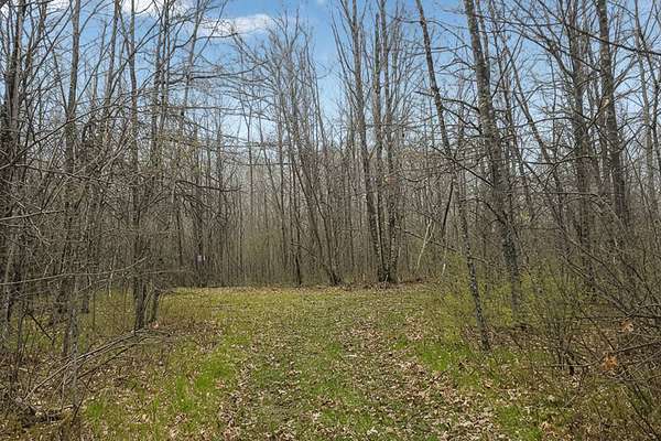 2 Acres of Land for Sale in Trego, Wisconsin