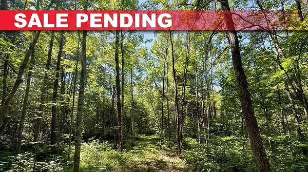 2 Acres of Residential Land for Sale in Trego, Wisconsin