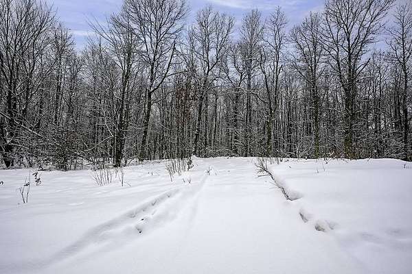 2 Acres of Residential Land for Sale in Trego, Wisconsin