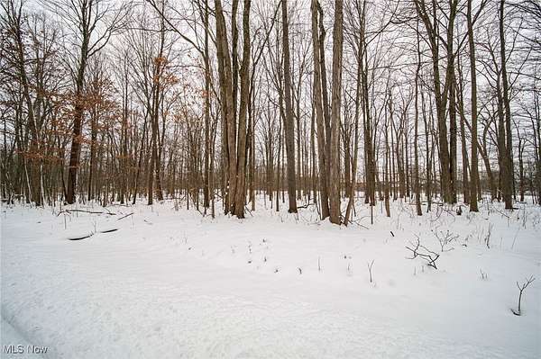 0.91 Acres of Residential Land for Sale in Solon, Ohio