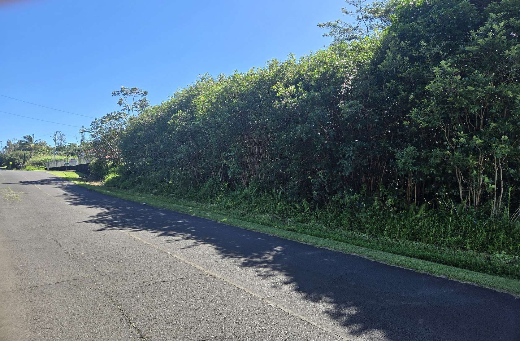 1 Acre of Land for Sale in Keaau, Hawaii