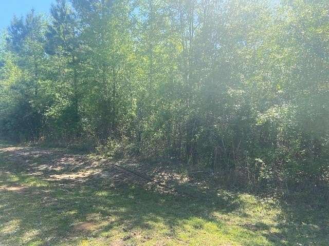 102 Acres of Recreational Land & Farm for Sale in Waynesboro, Mississippi