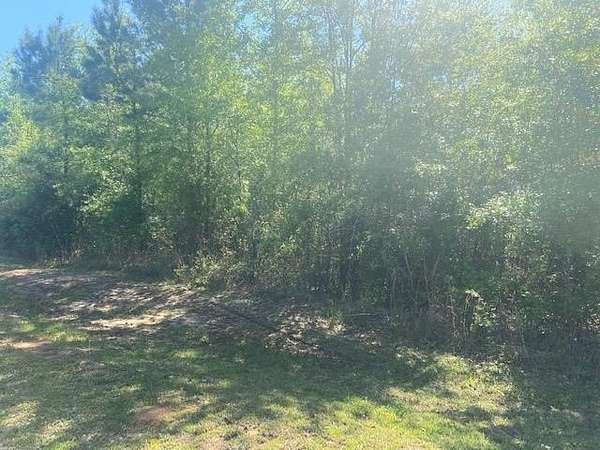 102 Acres of Recreational Land & Farm for Sale in Waynesboro, Mississippi