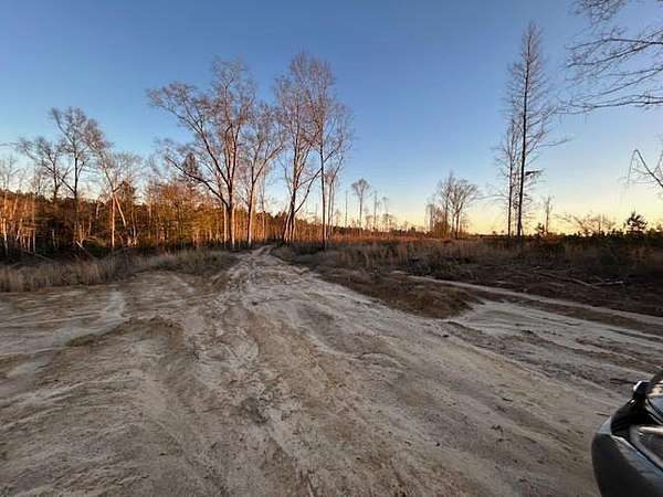 102 Acres of Recreational Land & Farm for Sale in Waynesboro, Mississippi