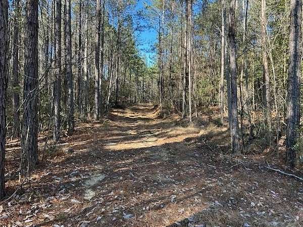 102 Acres of Recreational Land for Sale in Waynesboro, Mississippi