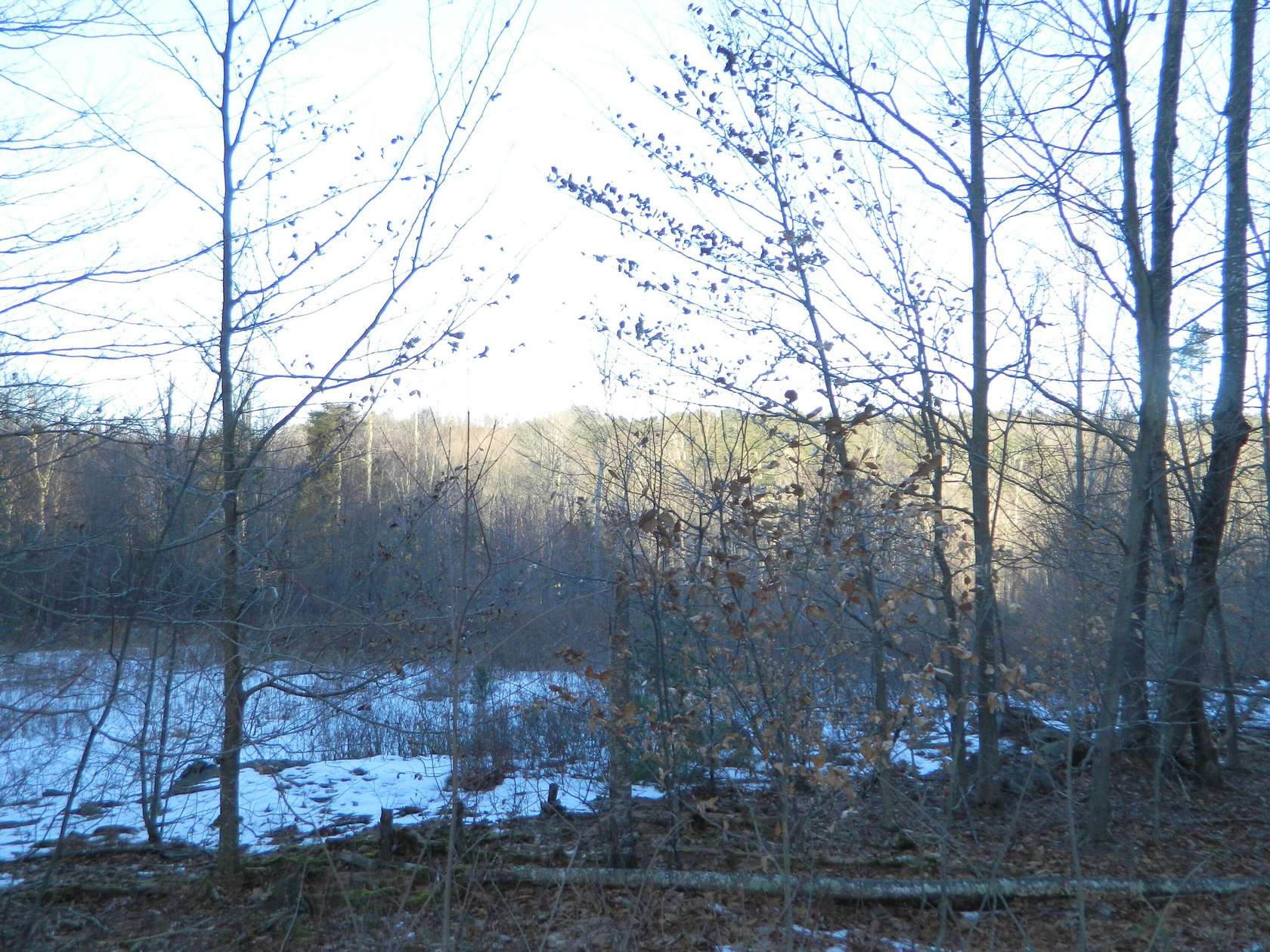 4.1 Acres of Residential Land for Sale in Sanford, Maine