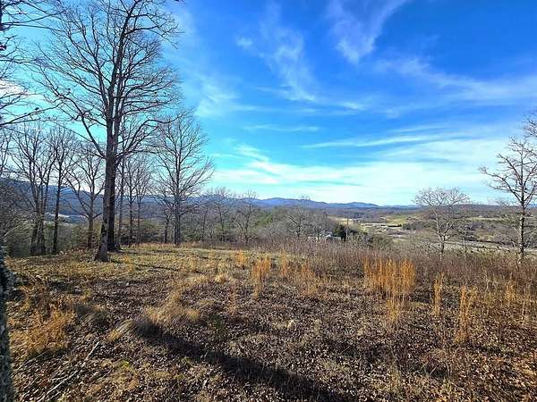 22.4 Acres of Land for Sale in Warne, North Carolina
