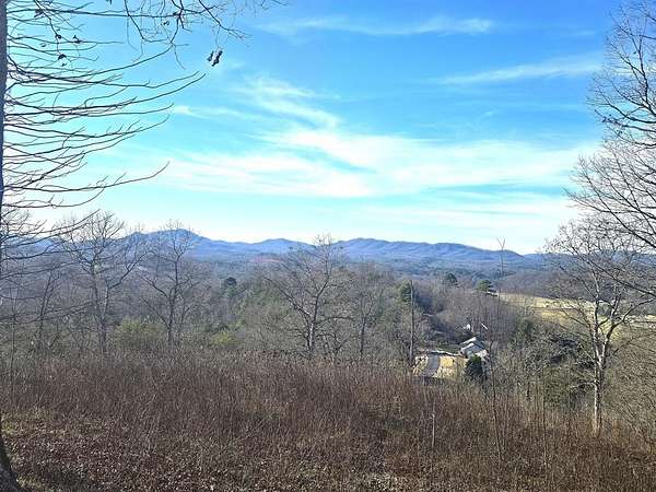 Land for Sale in Warne, North Carolina