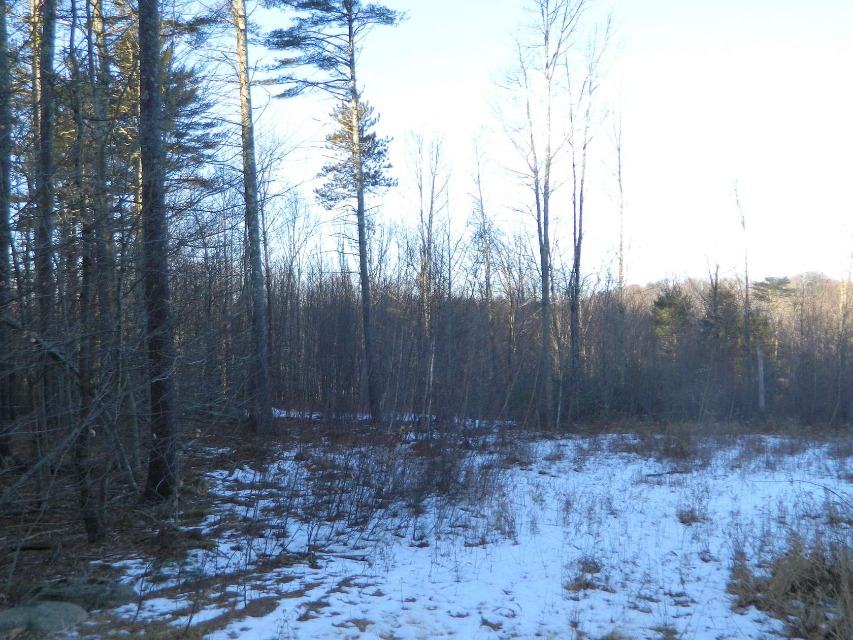 5.53 Acres of Residential Land for Sale in Sanford, Maine