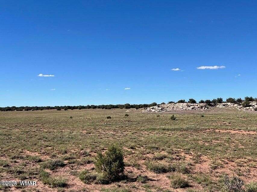 10 Acres of Residential Land for Sale in Concho, Arizona