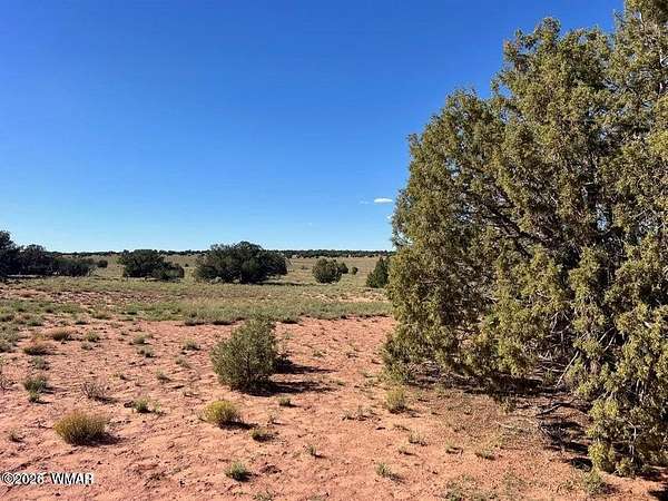 10 Acres of Residential Land for Sale in Concho, Arizona