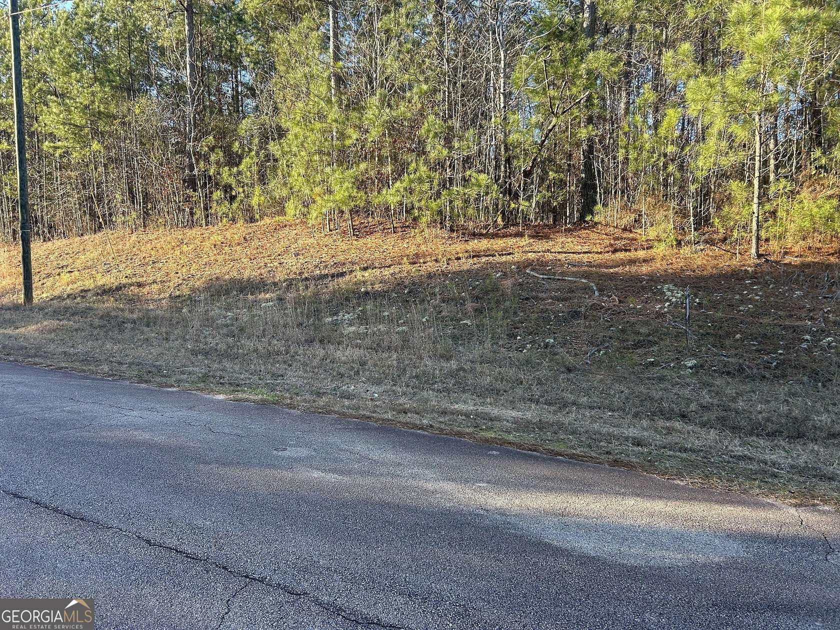 1.2 Acres of Land for Sale in Monticello, Georgia