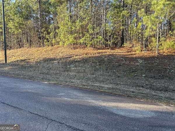 1.2 Acres of Land for Sale in Monticello, Georgia