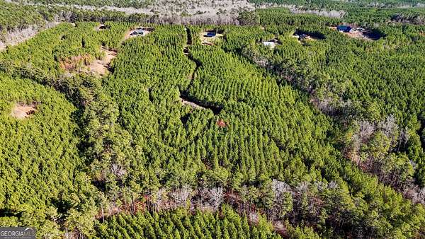 20.3 Acres of Recreational Land for Sale in Forsyth, Georgia
