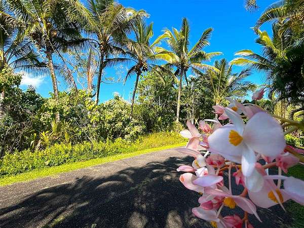 0.18 Acres of Land for Sale in Pahoa, Hawaii