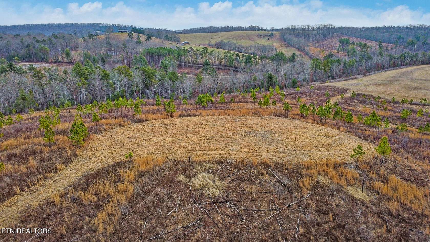 15 Acres of Land for Sale in Grandview, Tennessee