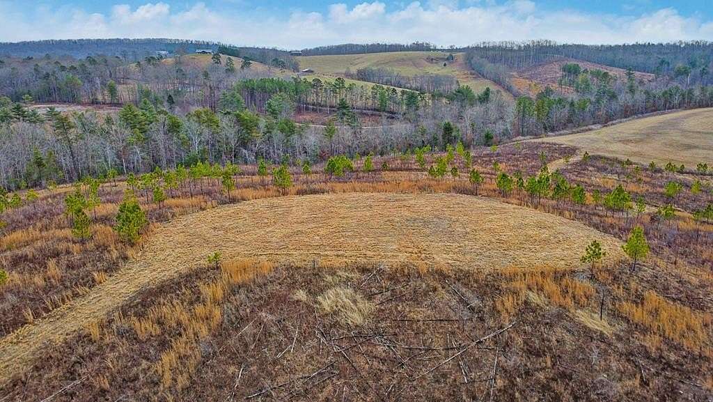 15 Acres of Land for Sale in Grandview, Tennessee