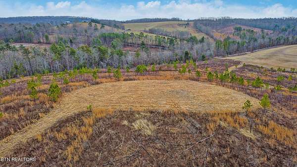 15 Acres of Land for Sale in Grandview, Tennessee