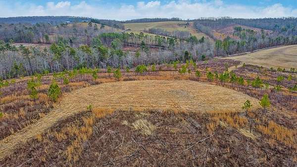 15 Acres of Land for Sale in Grandview, Tennessee