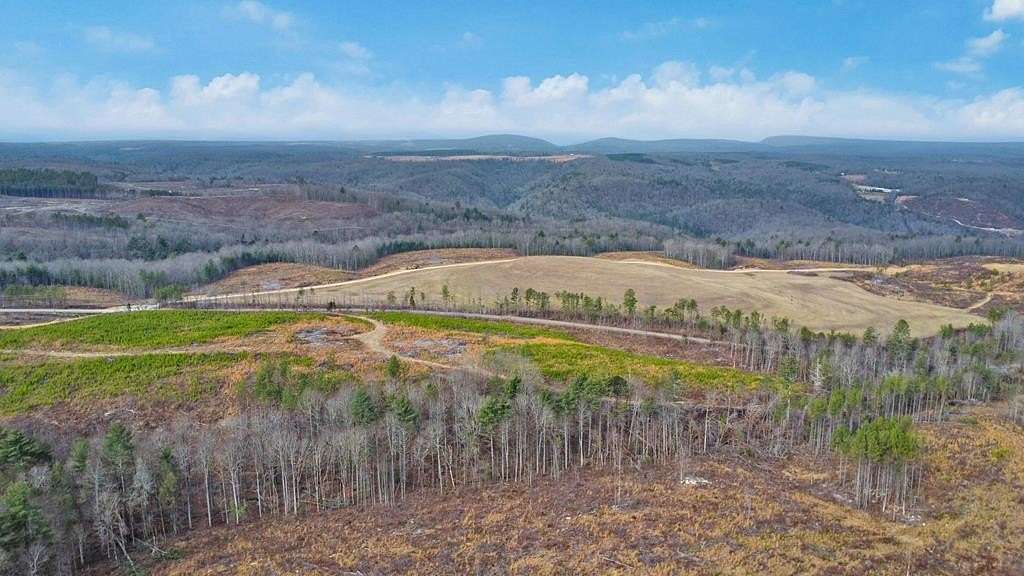 15 Acres of Land for Sale in Grandview, Tennessee
