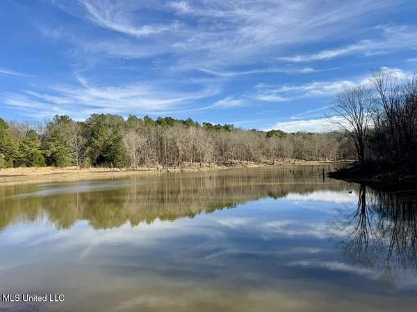 523 Acres of Land for Sale in Lexington, Mississippi