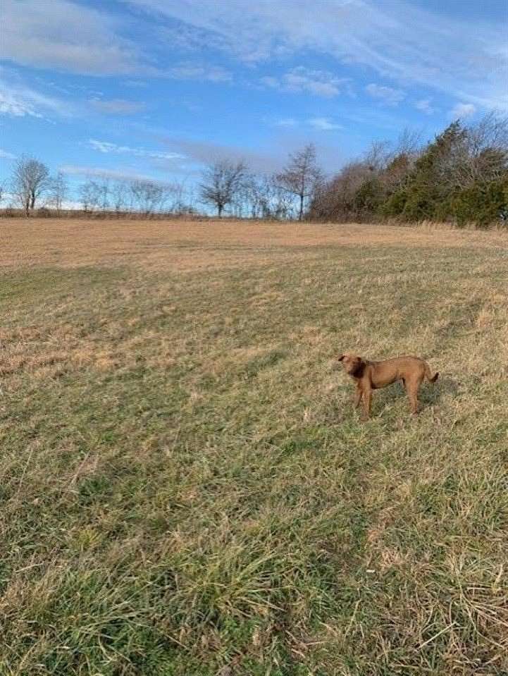 13.6 Acres of Agricultural Land for Sale in Edmonton, Kentucky