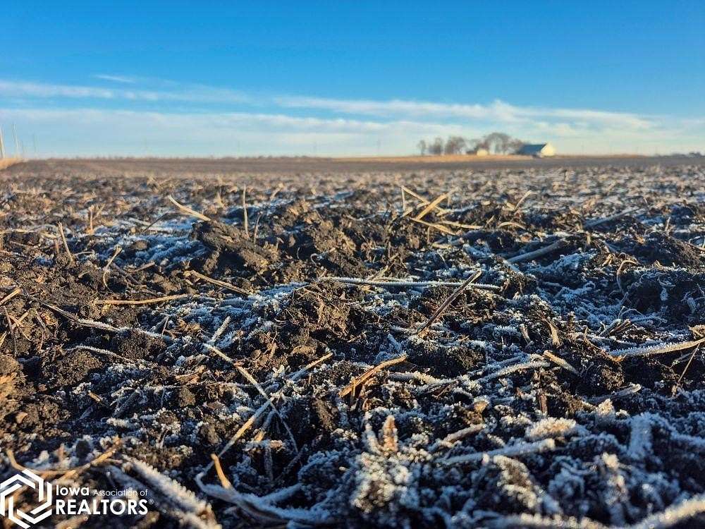 300 Acres of Recreational Land & Farm for Sale in Grand Junction, Iowa