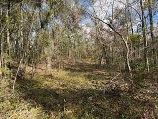 9.64 Acres of Residential Land for Sale in Bell, Florida