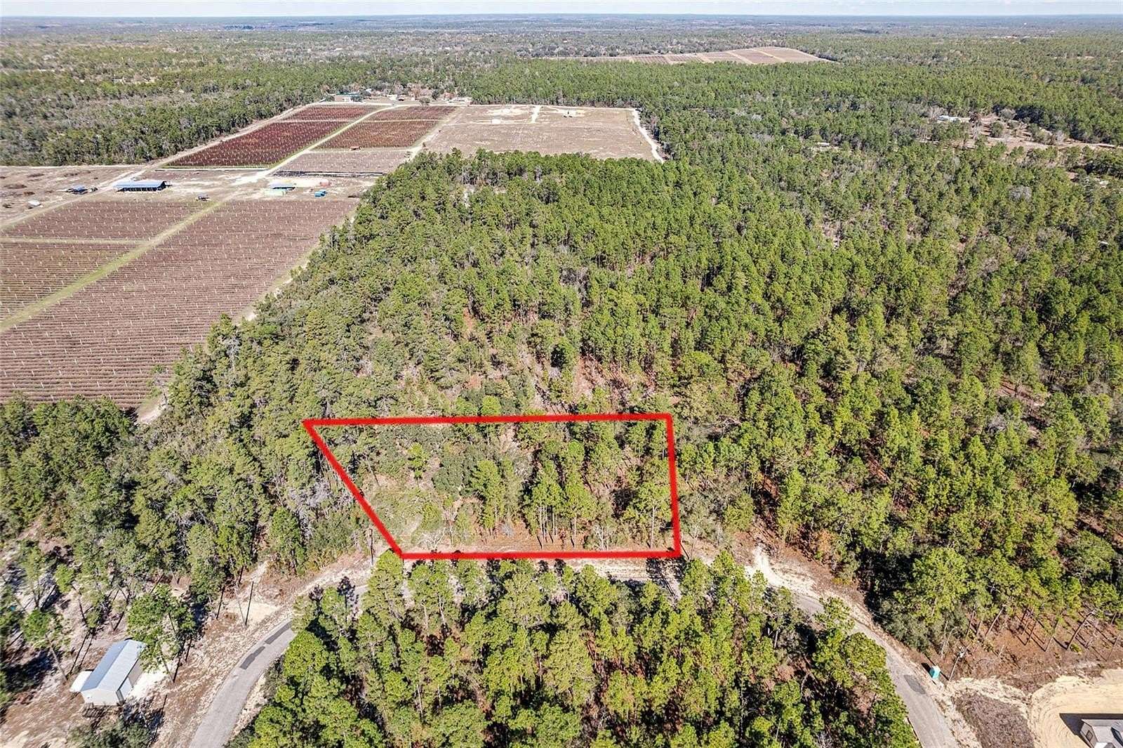 1 Acre of Residential Land for Sale in Citrus Springs, Florida