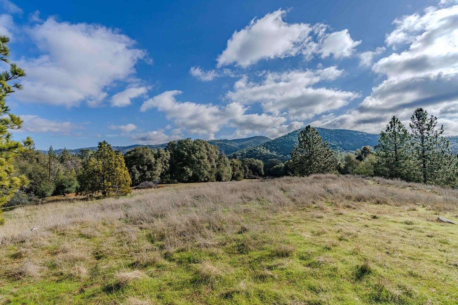 2.59 Acres of Residential Land for Sale in Columbia, California