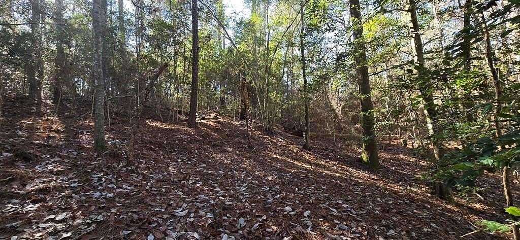 0.39 Acres of Residential Land for Sale in Jasper, Texas