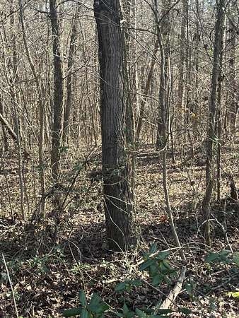 2.6 Acres of Residential Land for Sale in Booneville, Mississippi